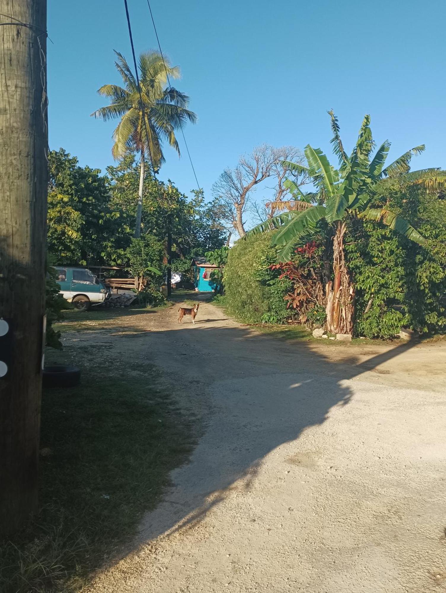 Kapeta Cabin Nuku'alofa Kültér fotó